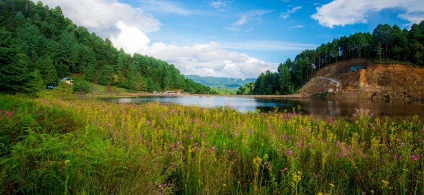 Ziro Valley