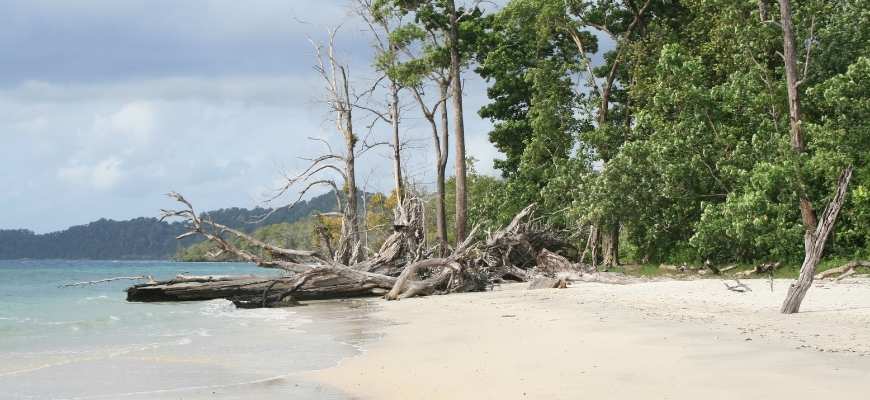 Elephant Beach