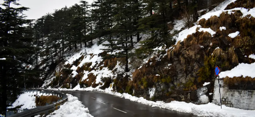  Shimla