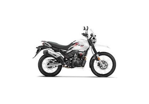 model image