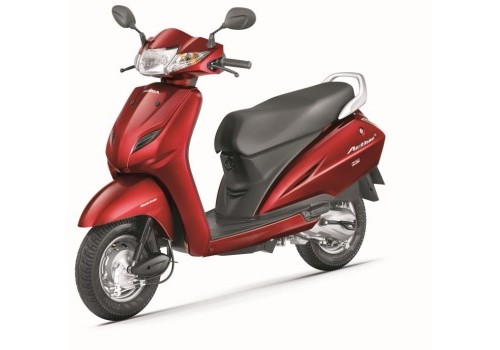 model image