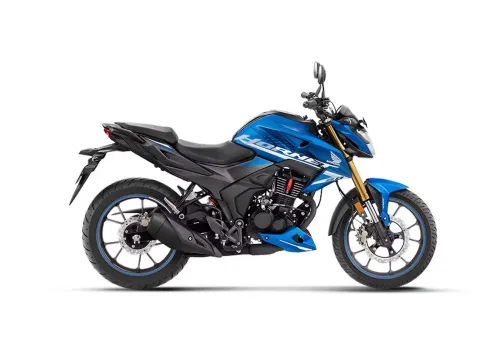 model image
