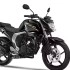 FZS V2 - 3