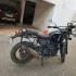 Himalayan - 4