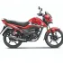 Livo