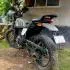 Himalayan - 4