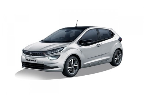 model image