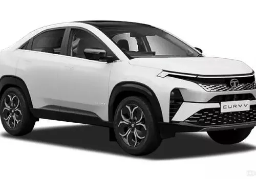 model image