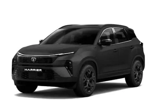 model image