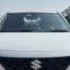 Baleno - 1