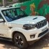 Scorpio S11 - 1