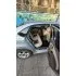car-img