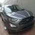 Ecosport - 1
