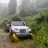 Thar Automatic - 2